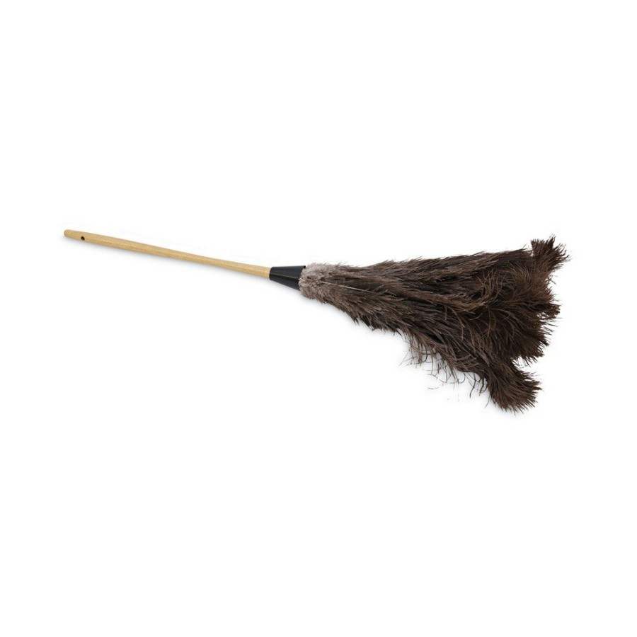 Facility Maintenance & Supplies Boardwalk Cleaning Tools | Boardwalk Bwk28Gy 16 In. Handle Professional Ostrich Feather Duster