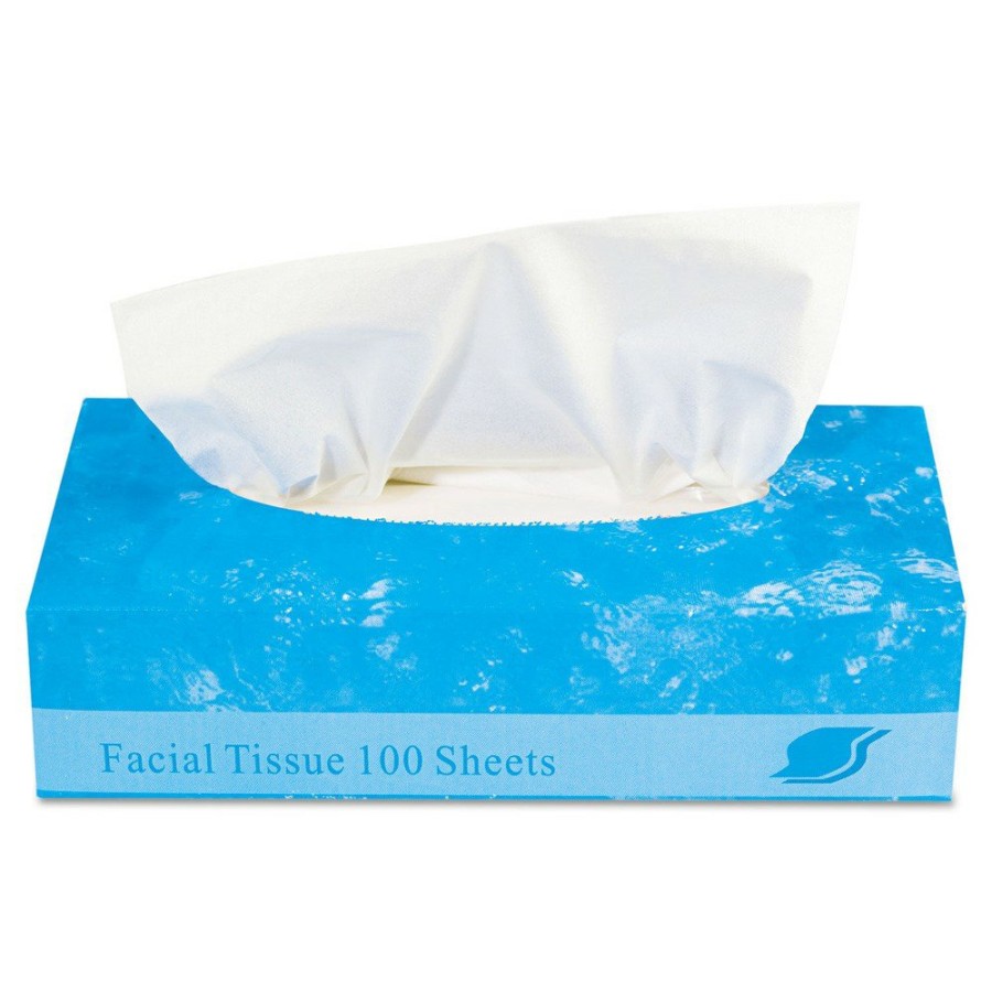 Facility Maintenance & Supplies GEN | Gen Genfacial30100B 2-Ply Boxed Facial Tissue - White (100 Sheets/Box, 30 Boxes/Carton)